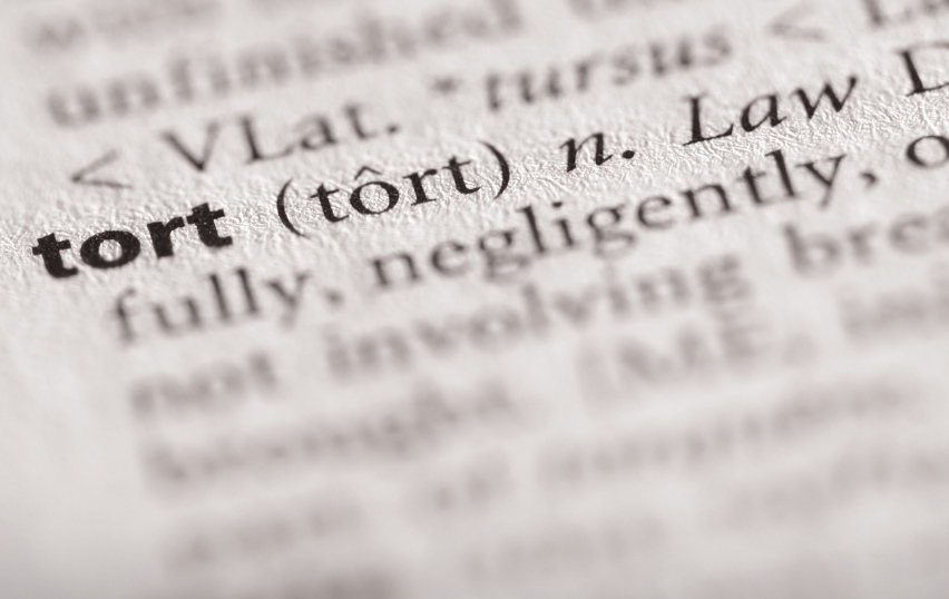 New Mexico Tort Claims Act