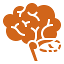 brain injury lawyer phoenix